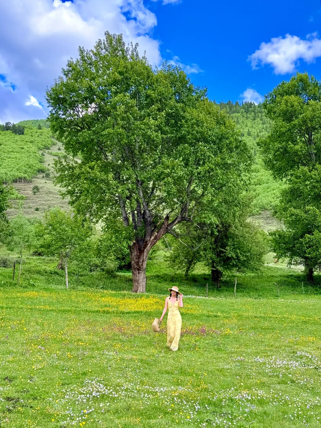 川西三天两晚!姑弄村➕甲根坝,攻略来咯……