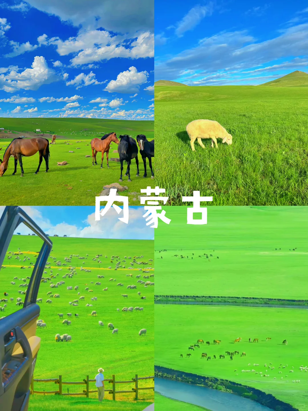 推荐9个旅行目的地‼️7-8月的避暑胜地