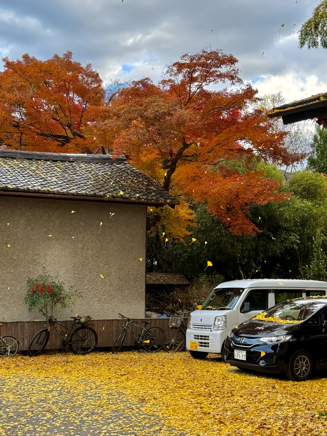 2024记忆存档｜我的年度封神live瞬间🎞️