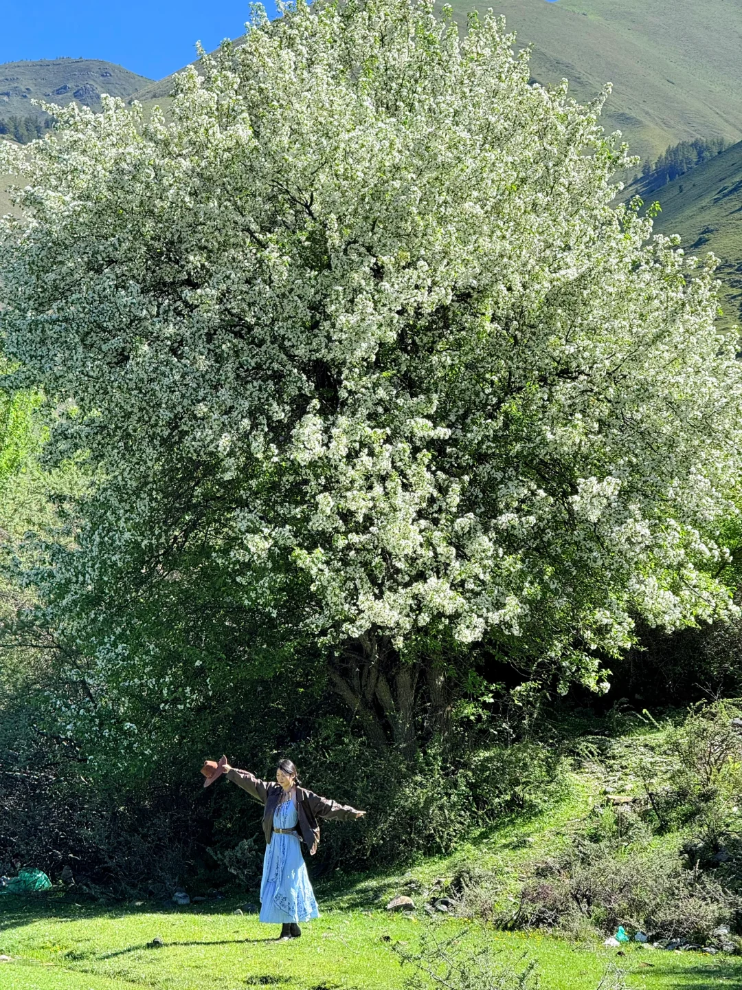 川西三天两晚!姑弄村➕甲根坝,攻略来咯……