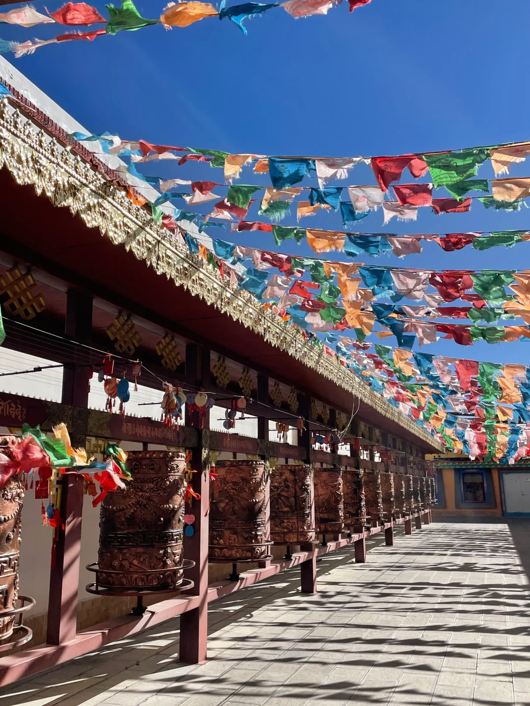 香格里拉漫游录:雪域秘境的呼吸与步履