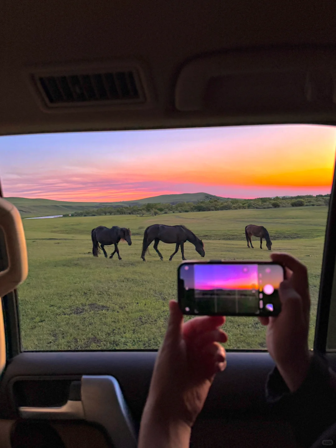 Welcome to China|呼伦贝尔 一生怀念的地方