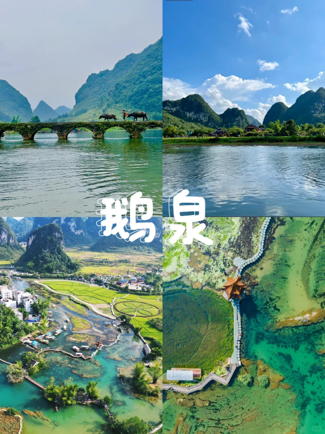 快来，广西的夏天我们包了！