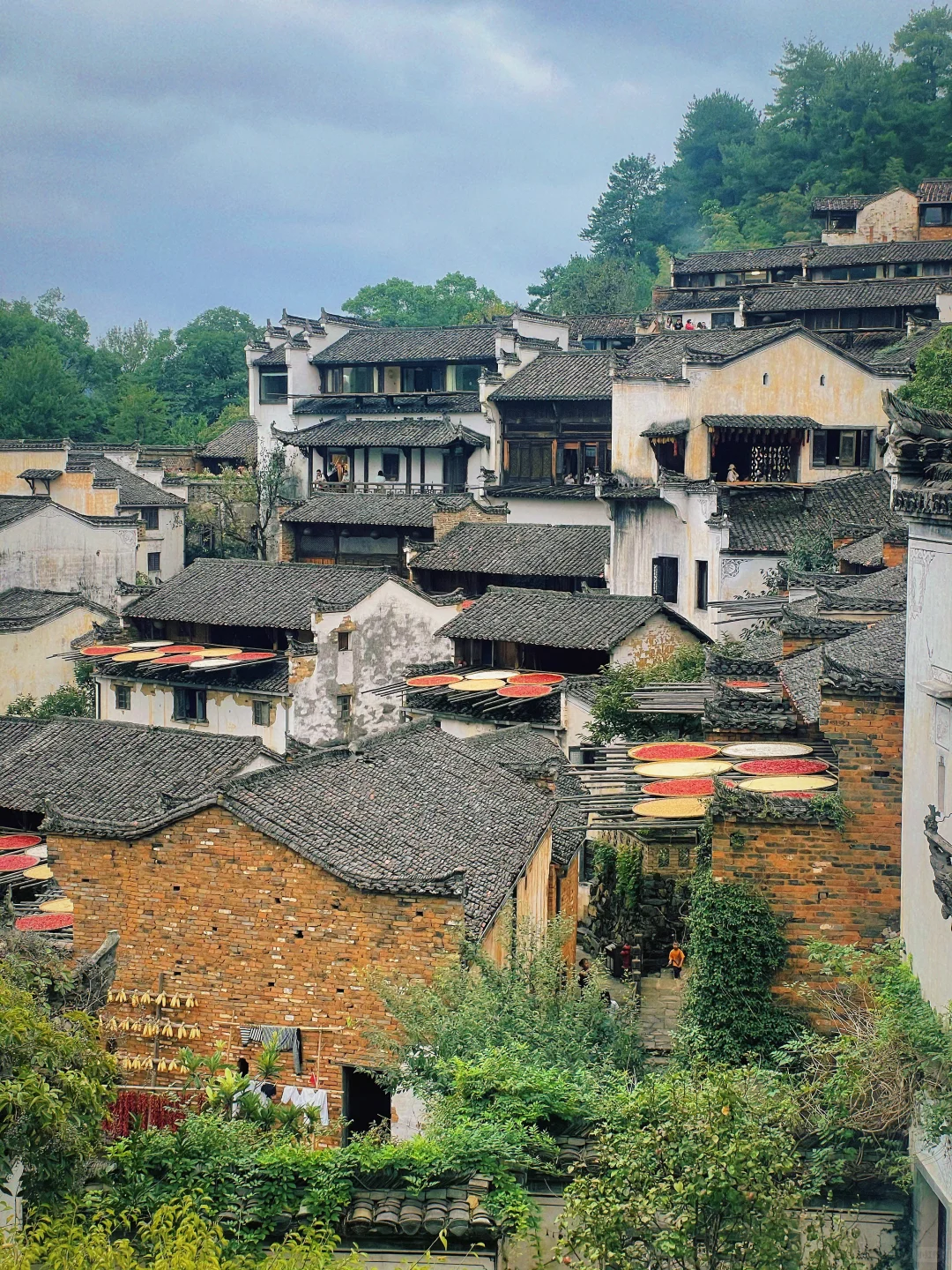 婺源实况无滤镜到底什么样