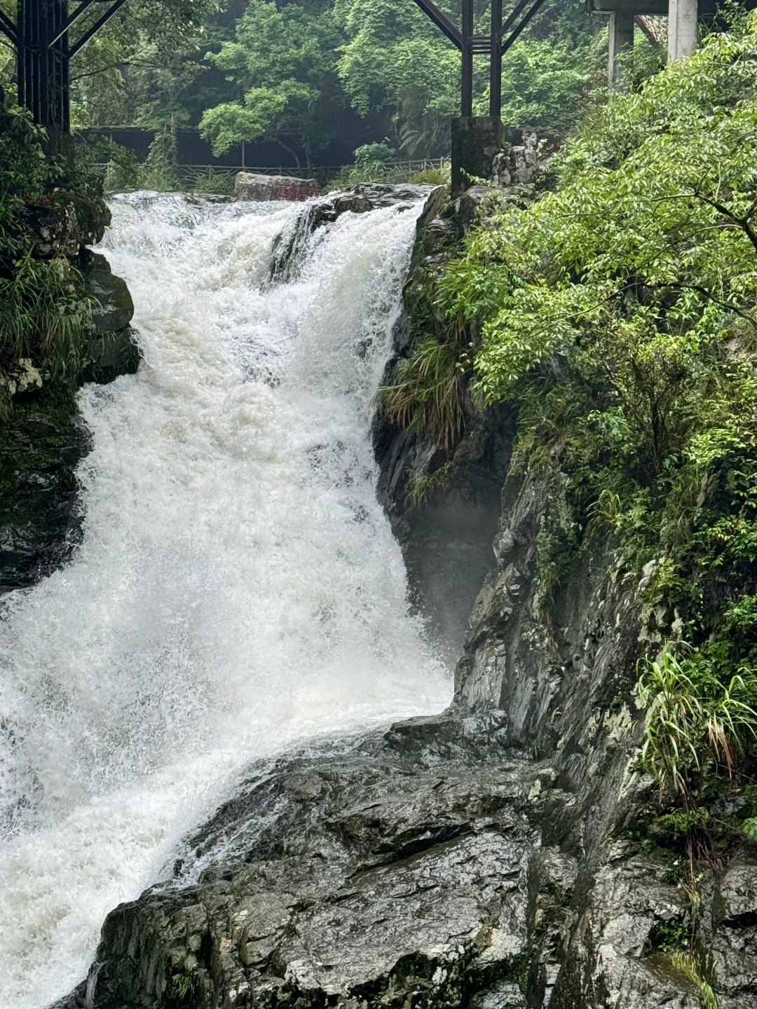 救命！福州山里18℃天然空调房！夏天巨爽❄️