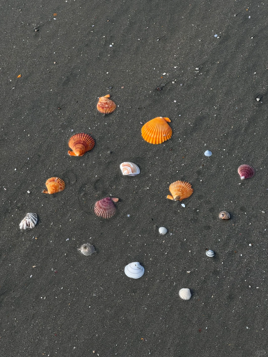 跟风小红书最成功的一次。。。（南澳岛…