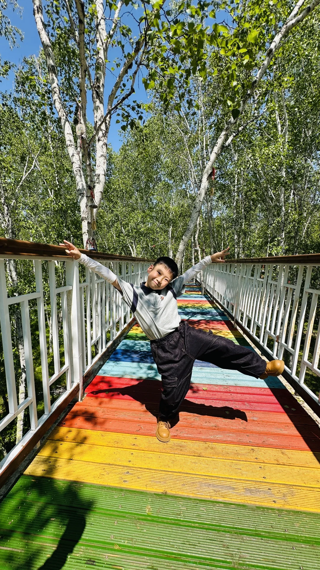 额尔古纳白桦林