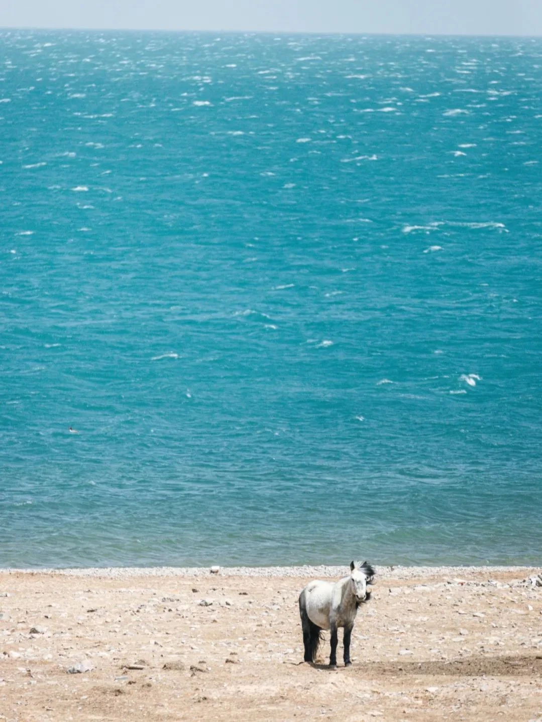 下一站大西北📍被称为“中国马尔代夫”