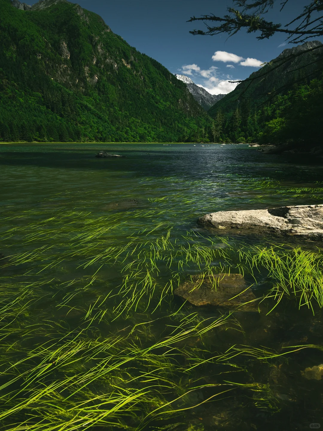 以为九寨沟够美了“直到来了这个小众🌙秘境”