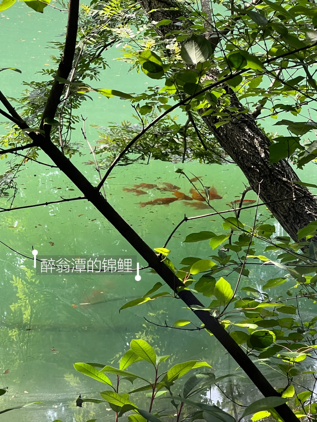 南京周边溯溪|小瀑布来咯，新路线来咯‼️