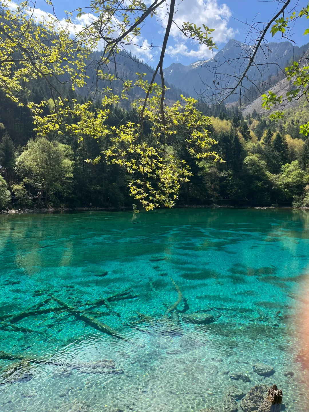 无锡-九寨沟2天攻略｜5.3体验感很好