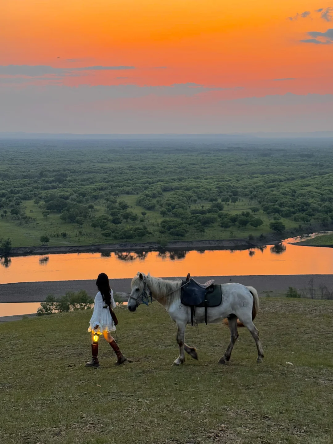 内蒙已回！坚决不删，能劝一个是一个......