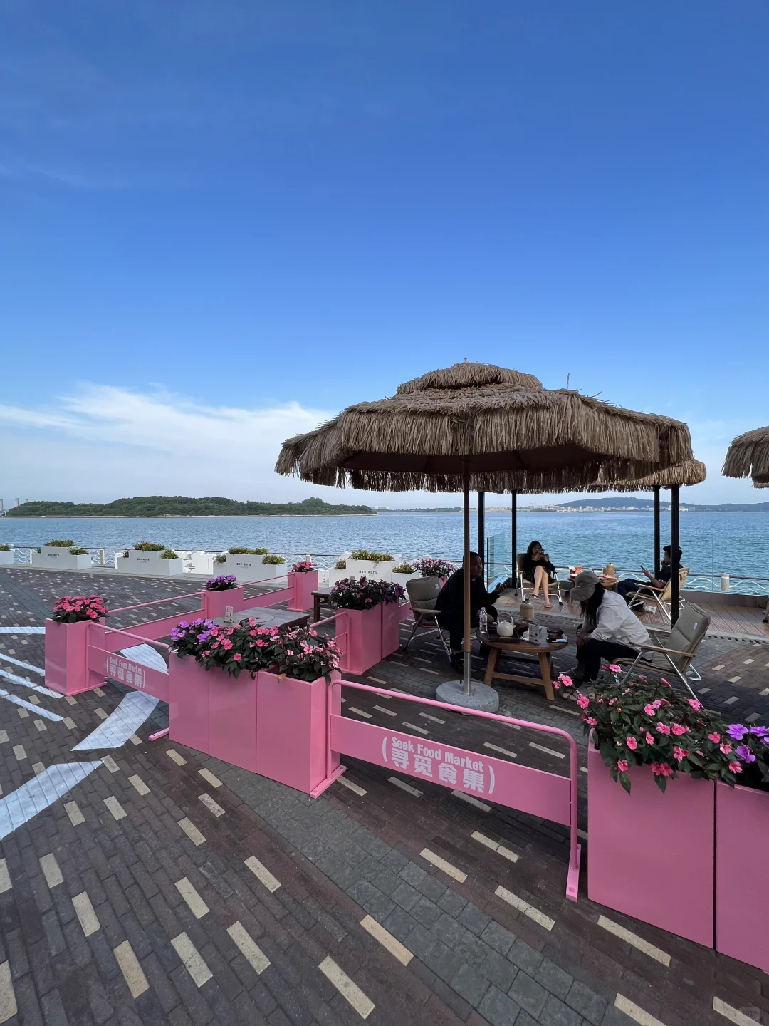 青岛旅游攻略|海边citywalk路线&美食推荐