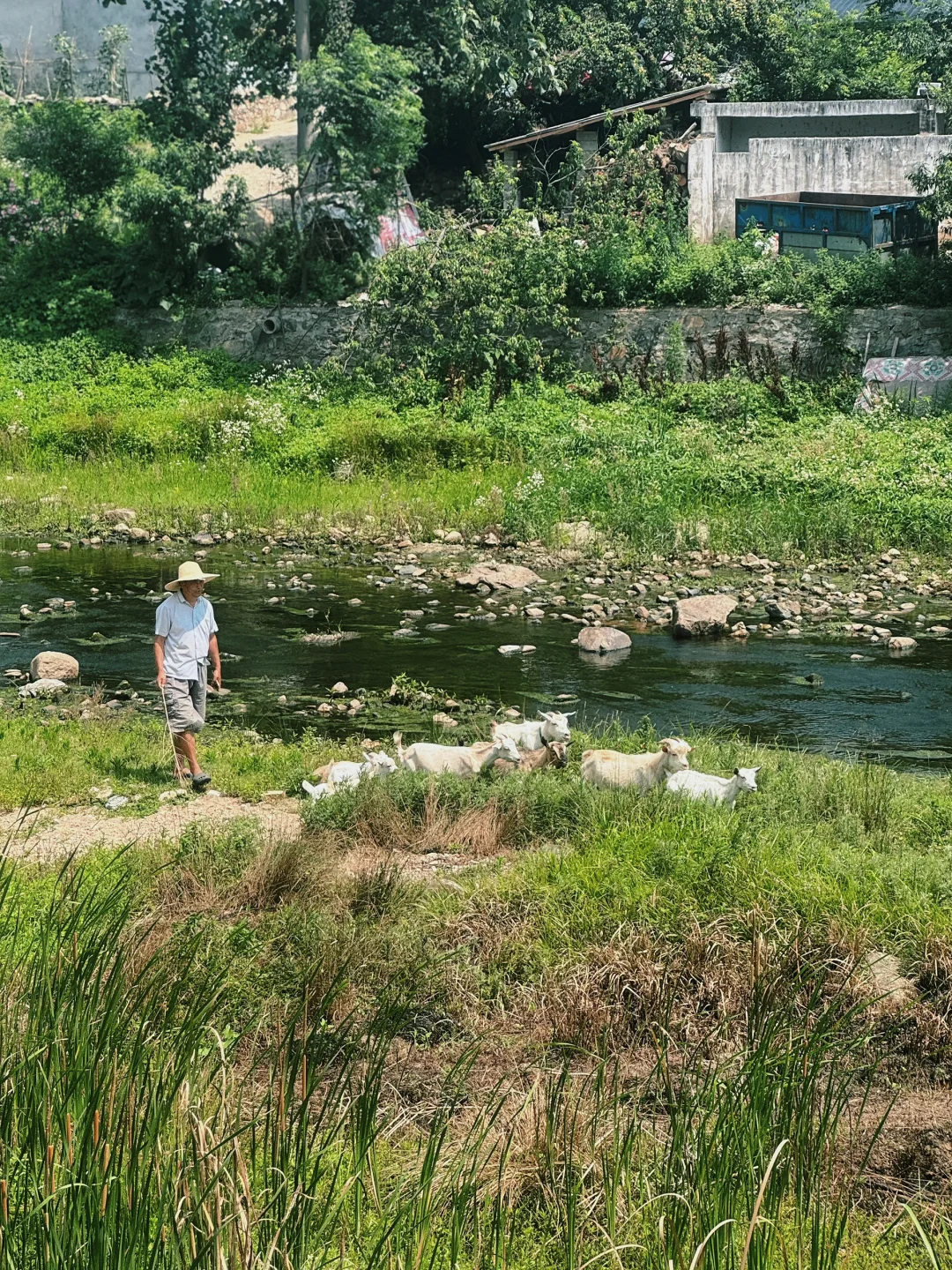 武汉驱车2小时,可徒步可玩水,两不耽误🤩
