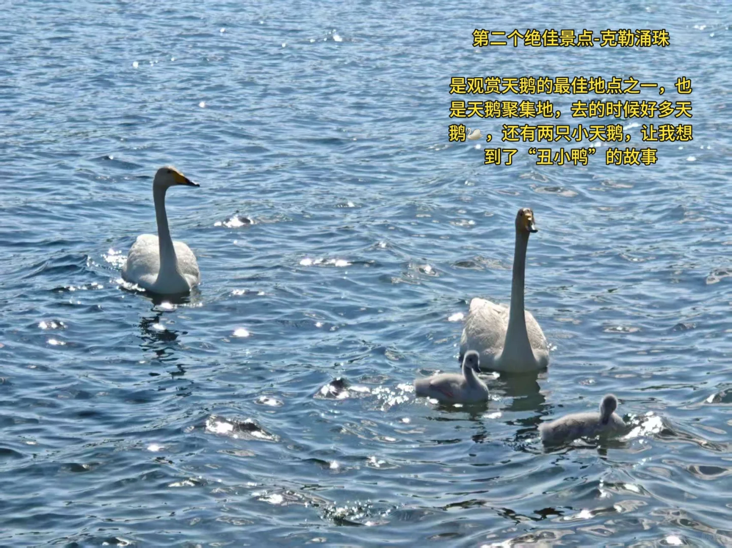 赛里木湖🌊，拍照📷必打卡的两个景点‼️