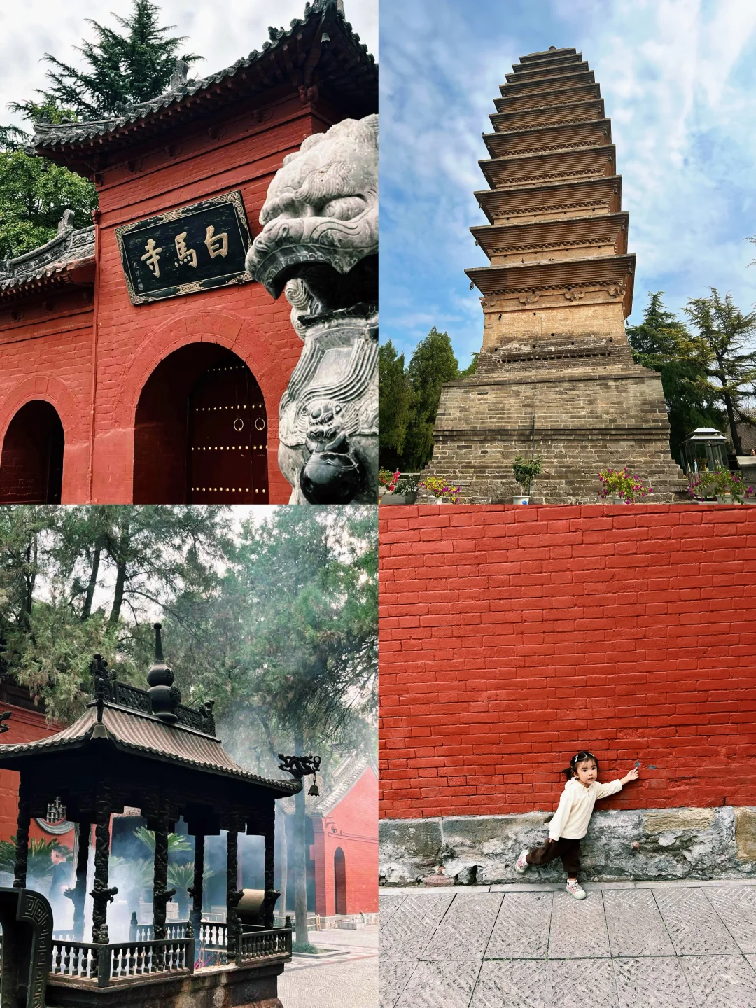 洛阳三天两夜游❗️别白跑本地人带你这么玩