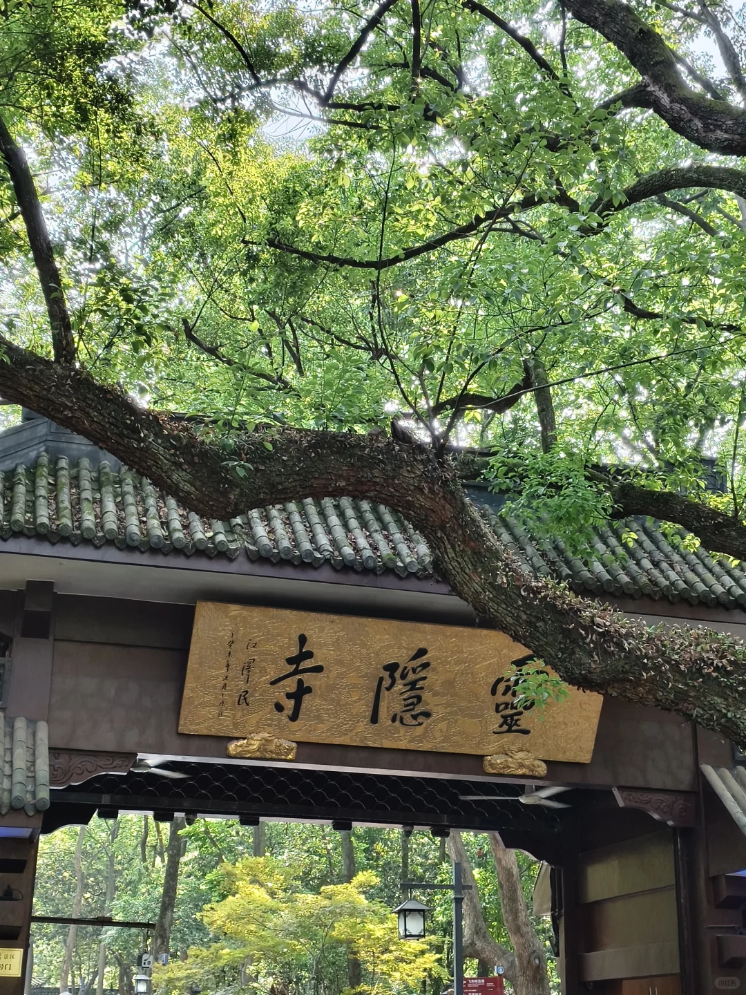 灵隐寺来过了，不遗憾！！！