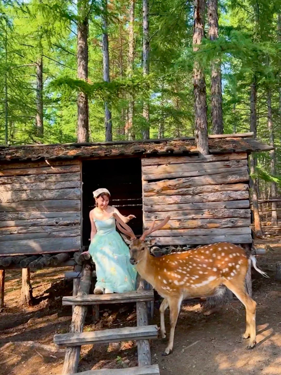 朋友圈被问疯了.不是瑞士新西兰❗在我大内蒙