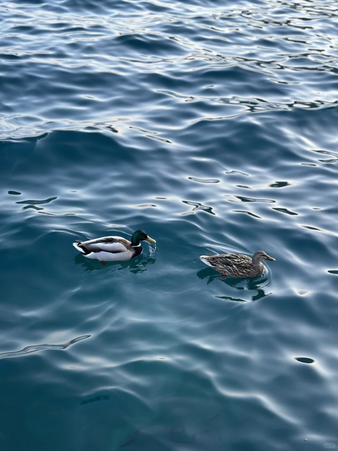 🇲🇪黑山出海见蓝洞