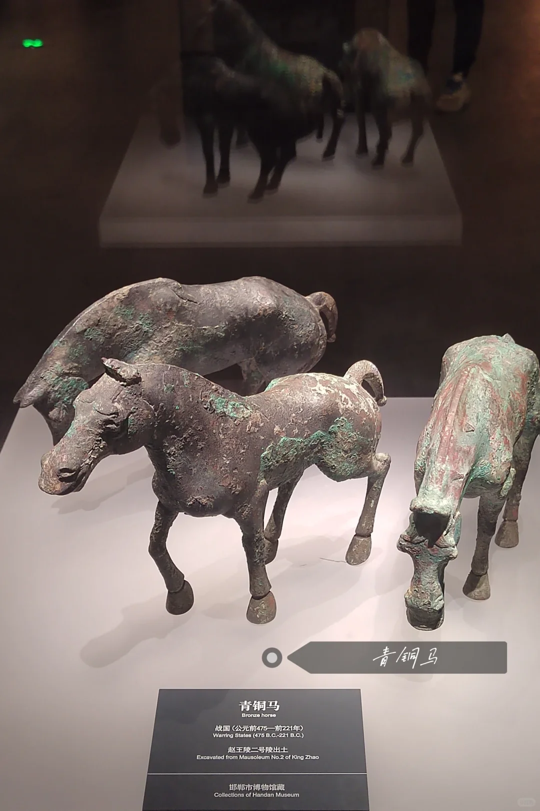 河北天津旅行6日游