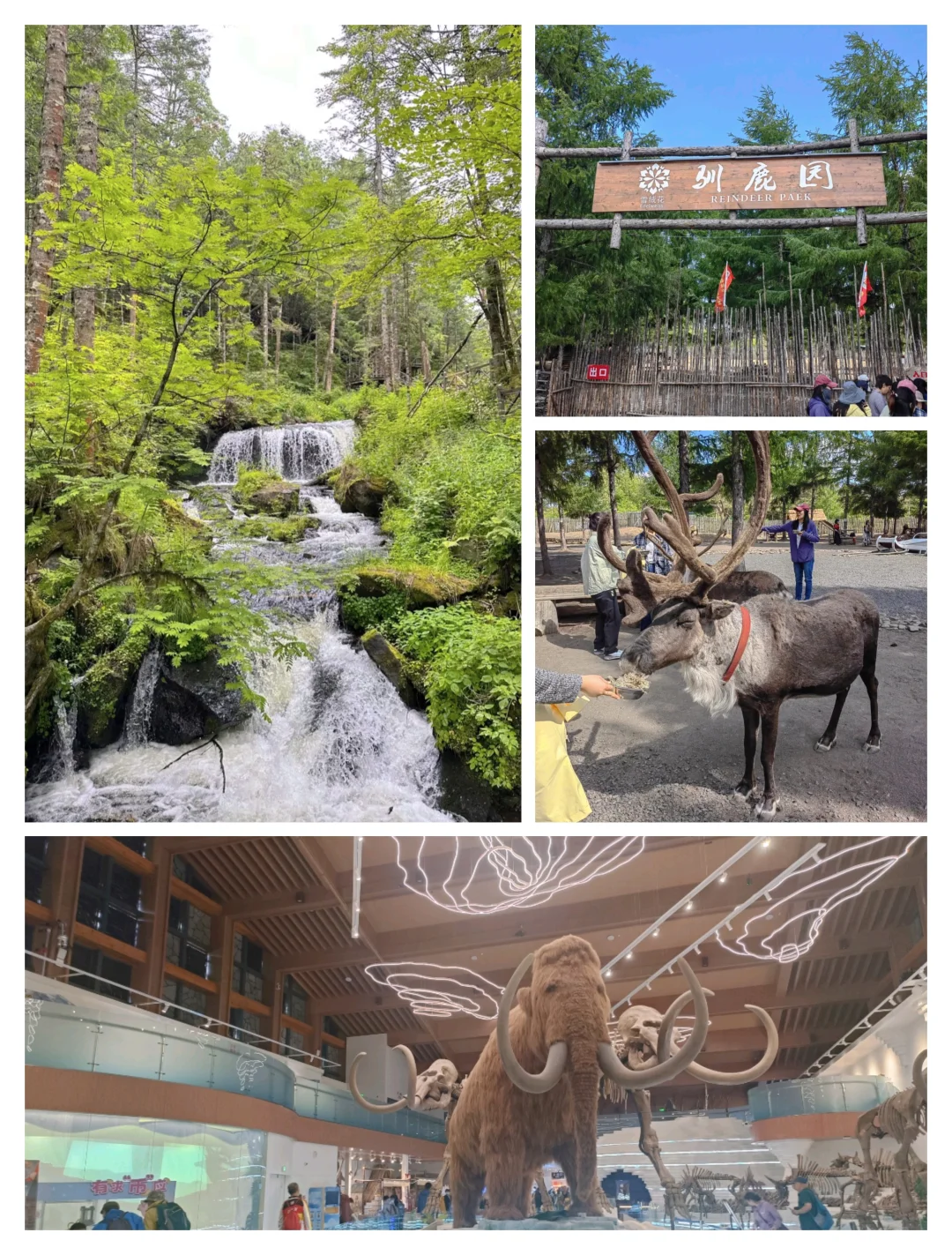 长白山旅游攻略 北坡