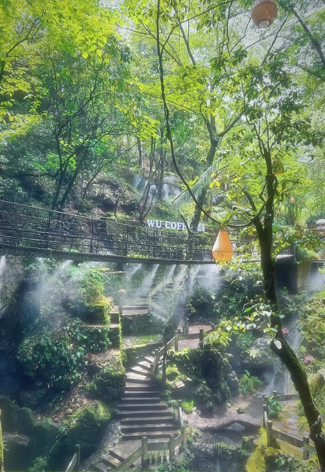 仙桥洞：看一场“人山人海”的绿野迷雾森林🌳