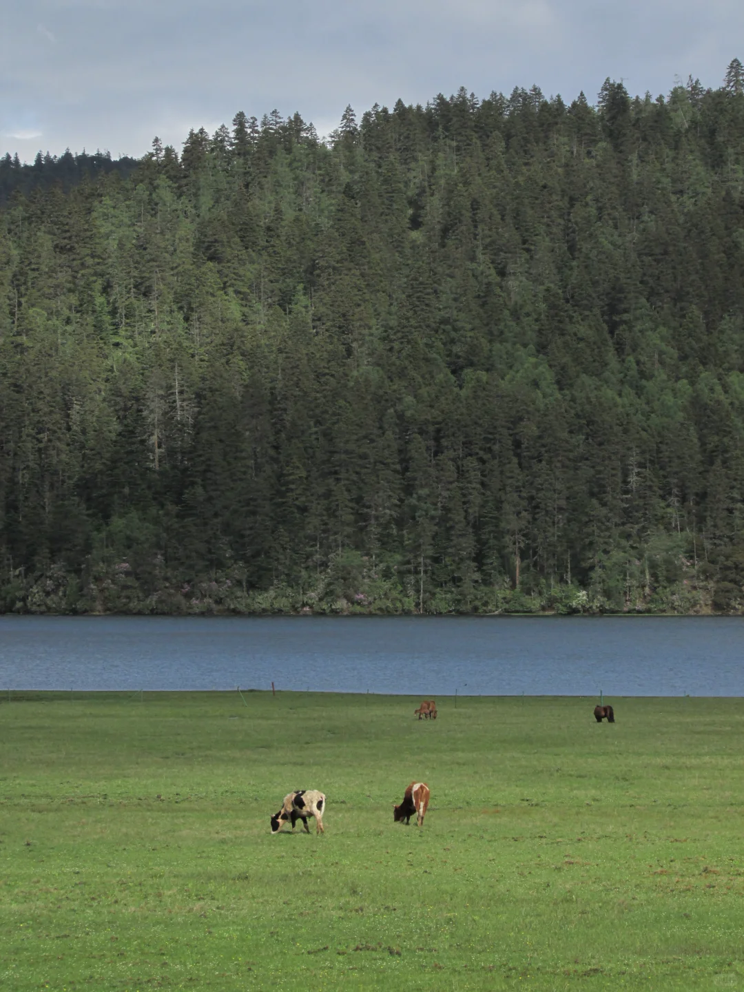 普达措｜轻松美丽，国家公园就是我的信仰
