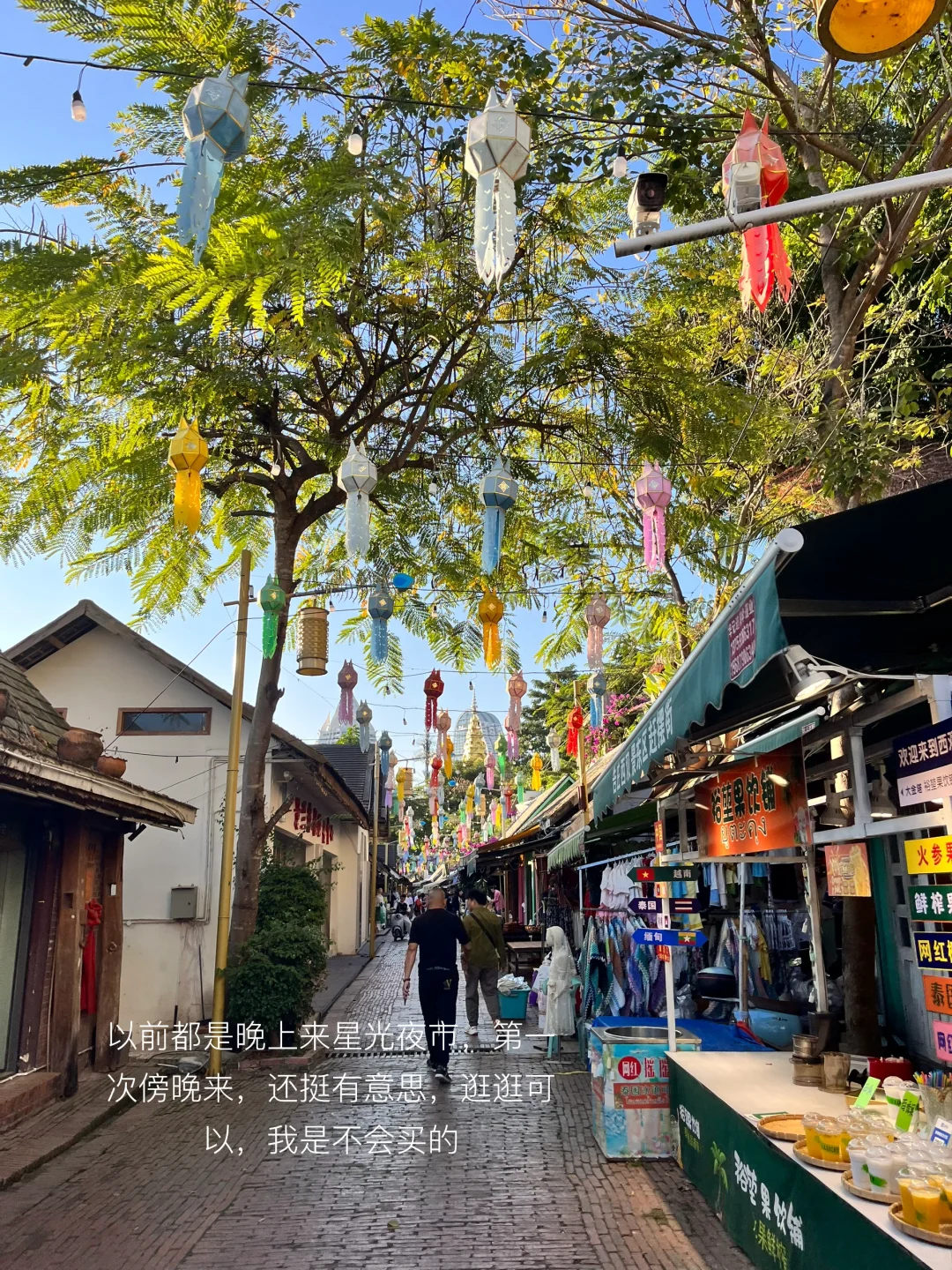 西双版纳 | 度假plog🌴