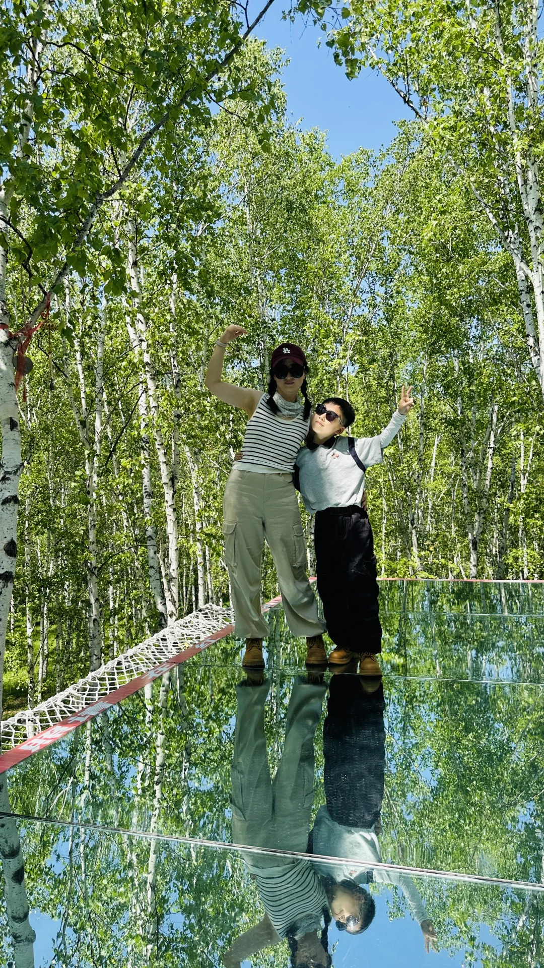 额尔古纳白桦林