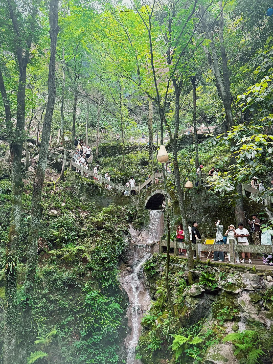 仙桥洞：看一场“人山人海”的绿野迷雾森林🌳
