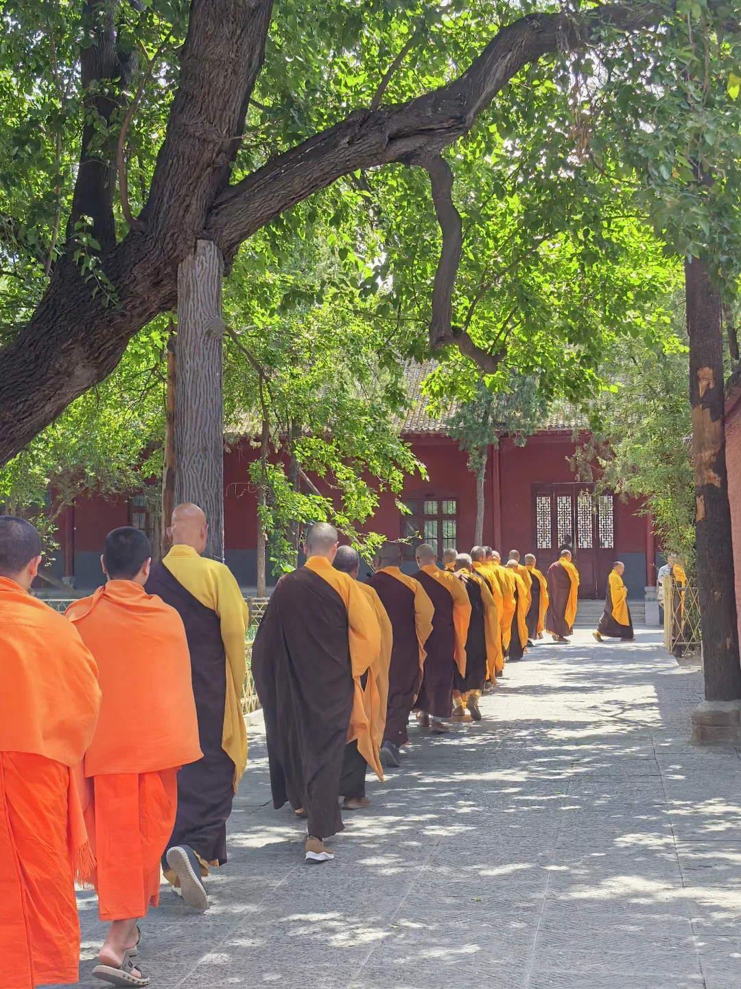 暑假带娃第一次去河南，这么玩才地道