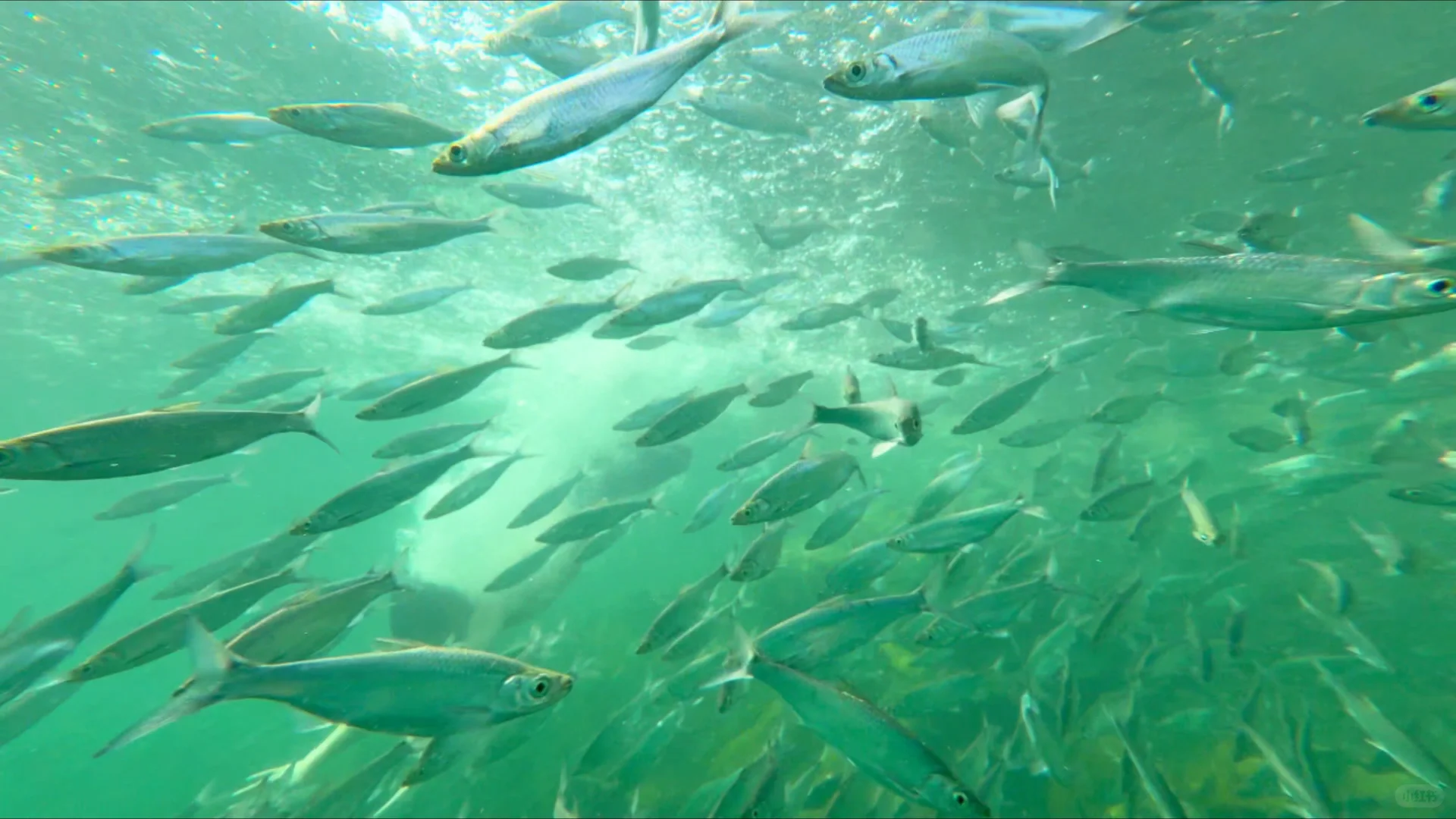 这个小众神仙小县城,让我特地去了两趟广西