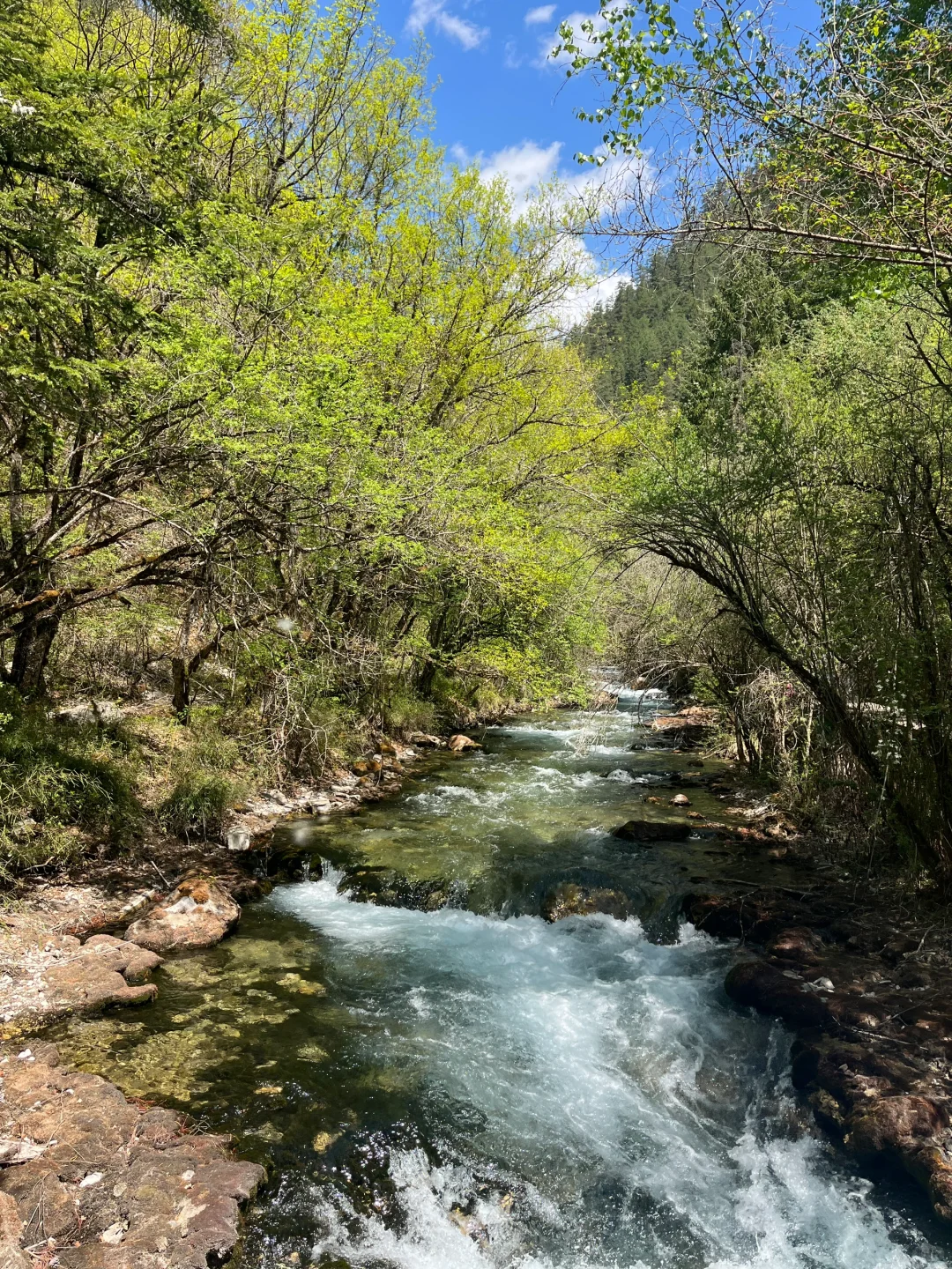 无锡-九寨沟2天攻略｜5.3体验感很好