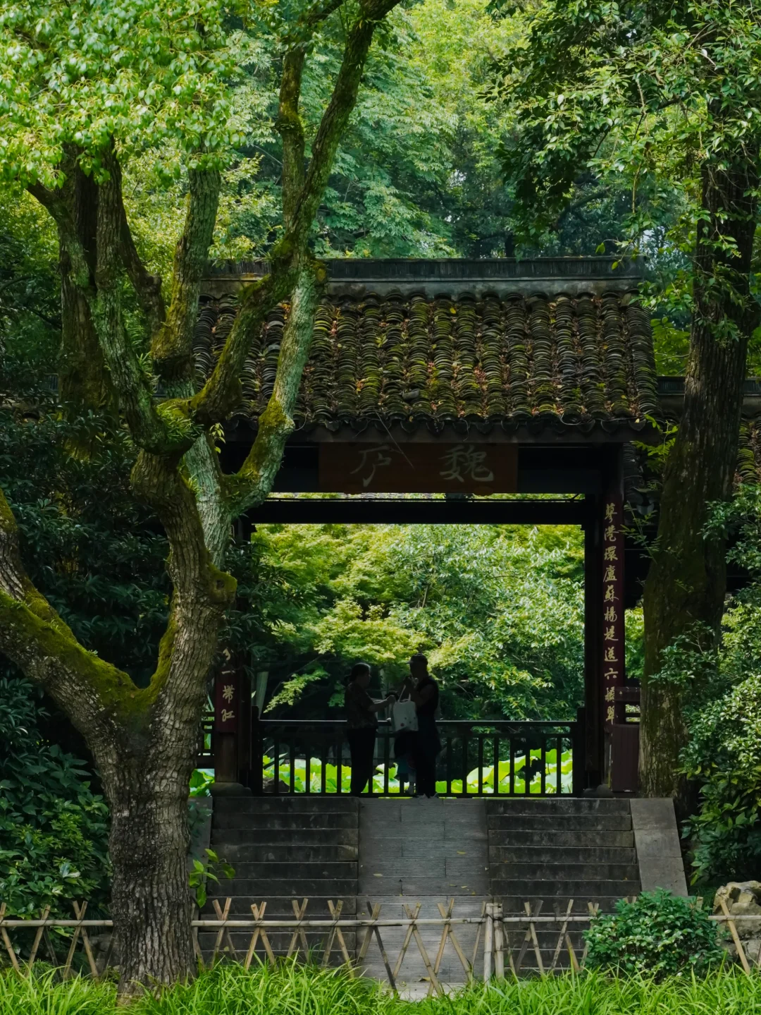 来杭州别挤西湖，灵隐寺！听我的！本地人！