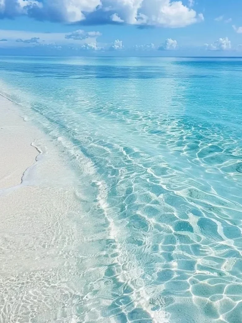 求求了🙏国内有这种果冻海吗，好想去看看