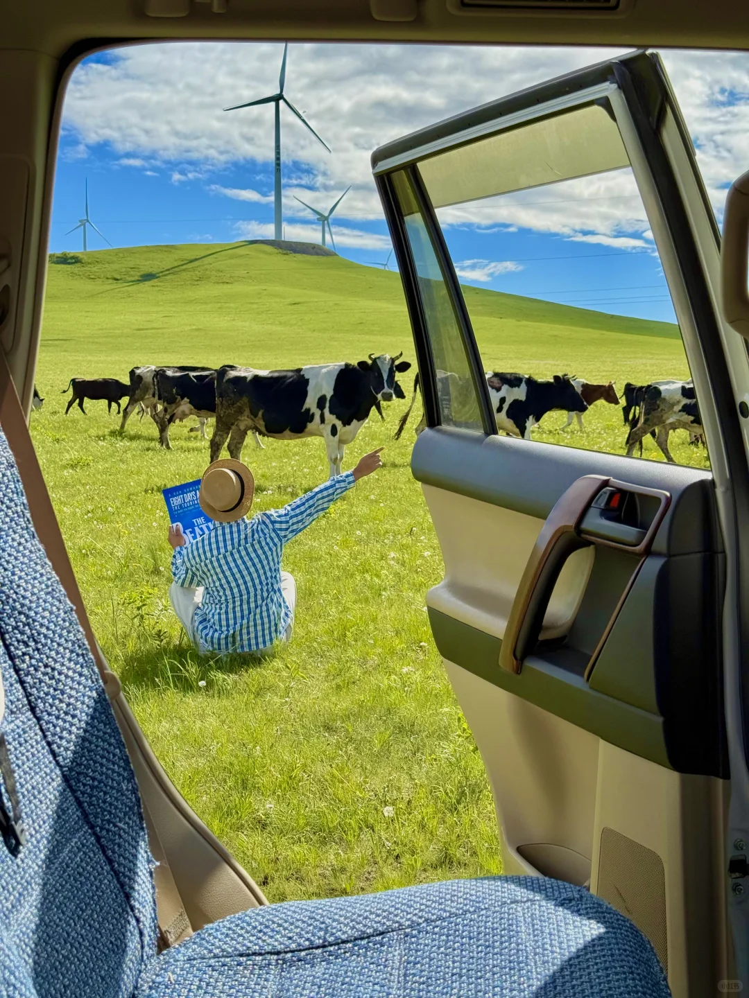 为了这18张live图!我飞到了内蒙古!值得吗?