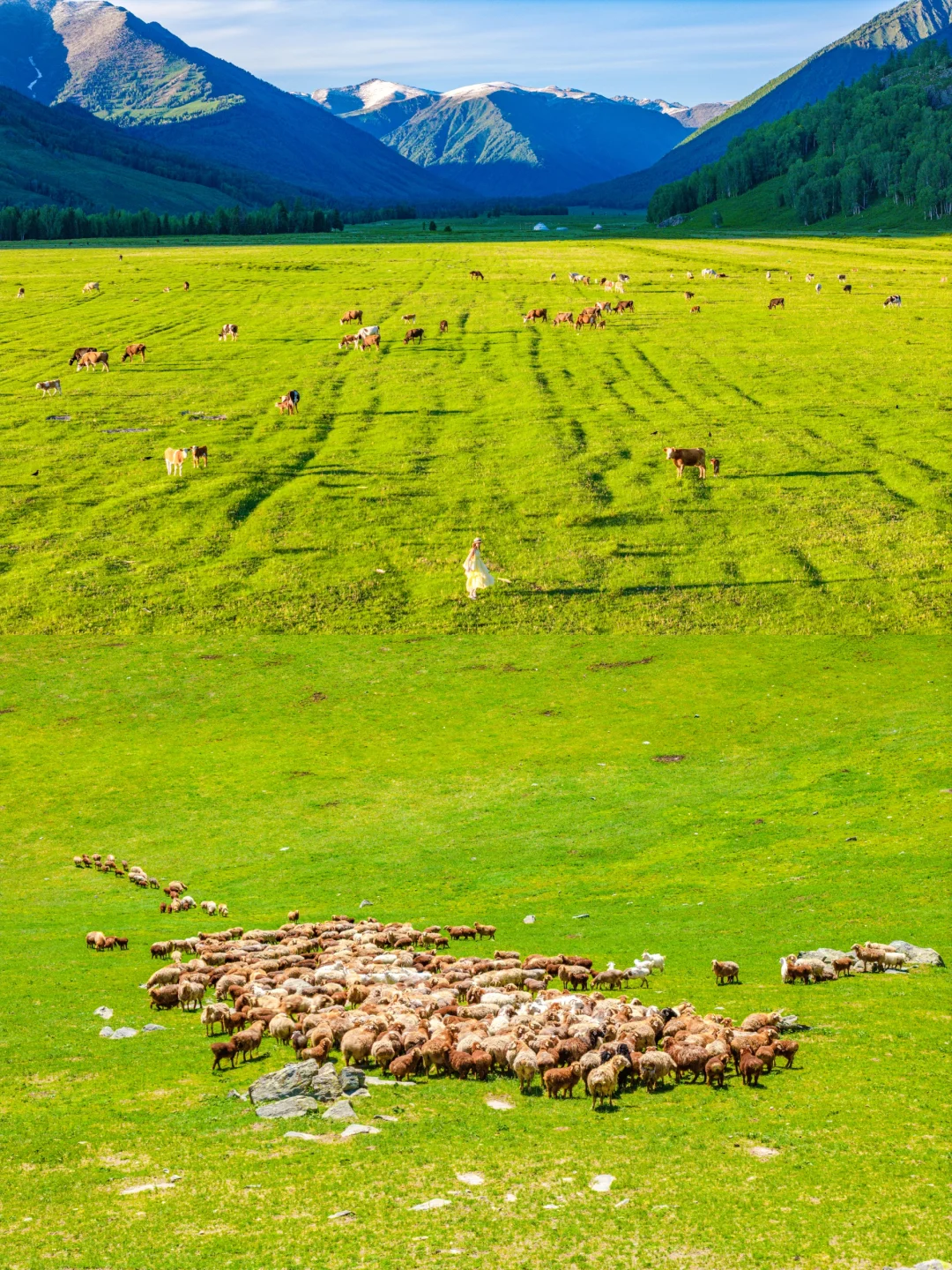 总要去一次新疆，看一次梦中的阿勒泰吧！！