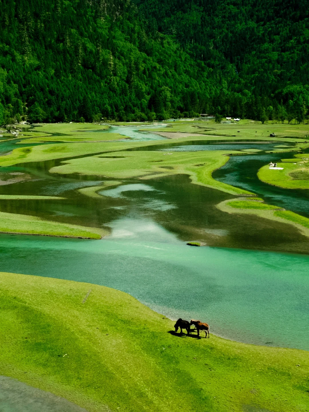 以为九寨沟够美了“直到来了这个小众🌙秘境”
