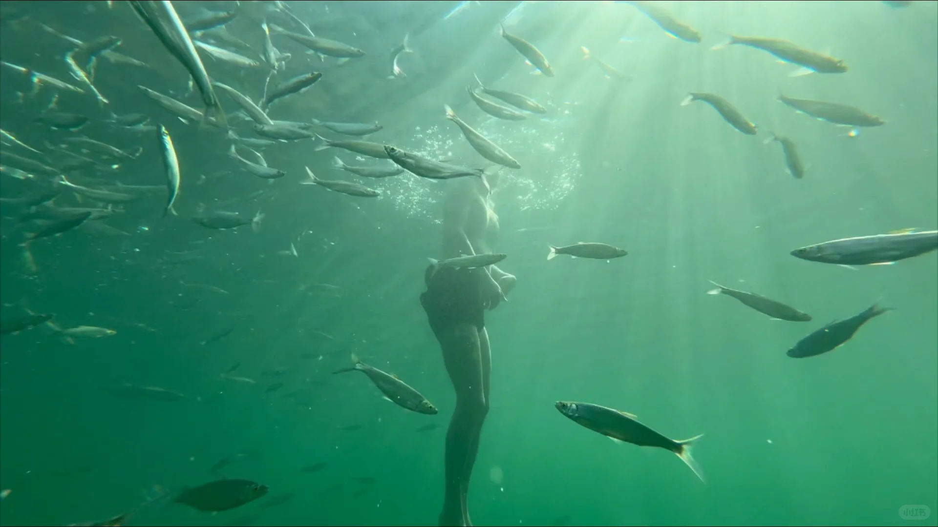 这个小众神仙小县城,让我特地去了两趟广西