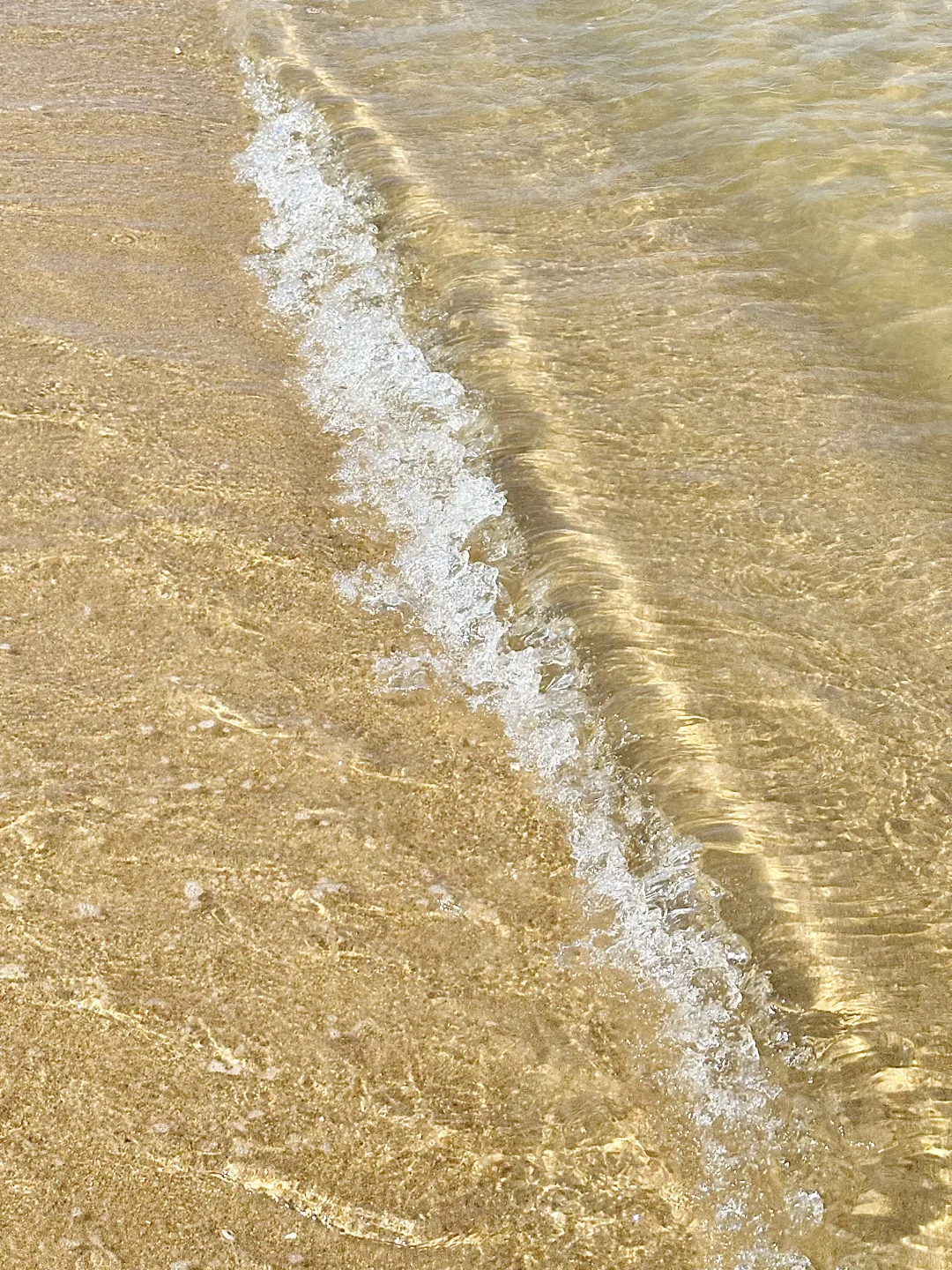 三亚真的要封神了。。。。。。。。。