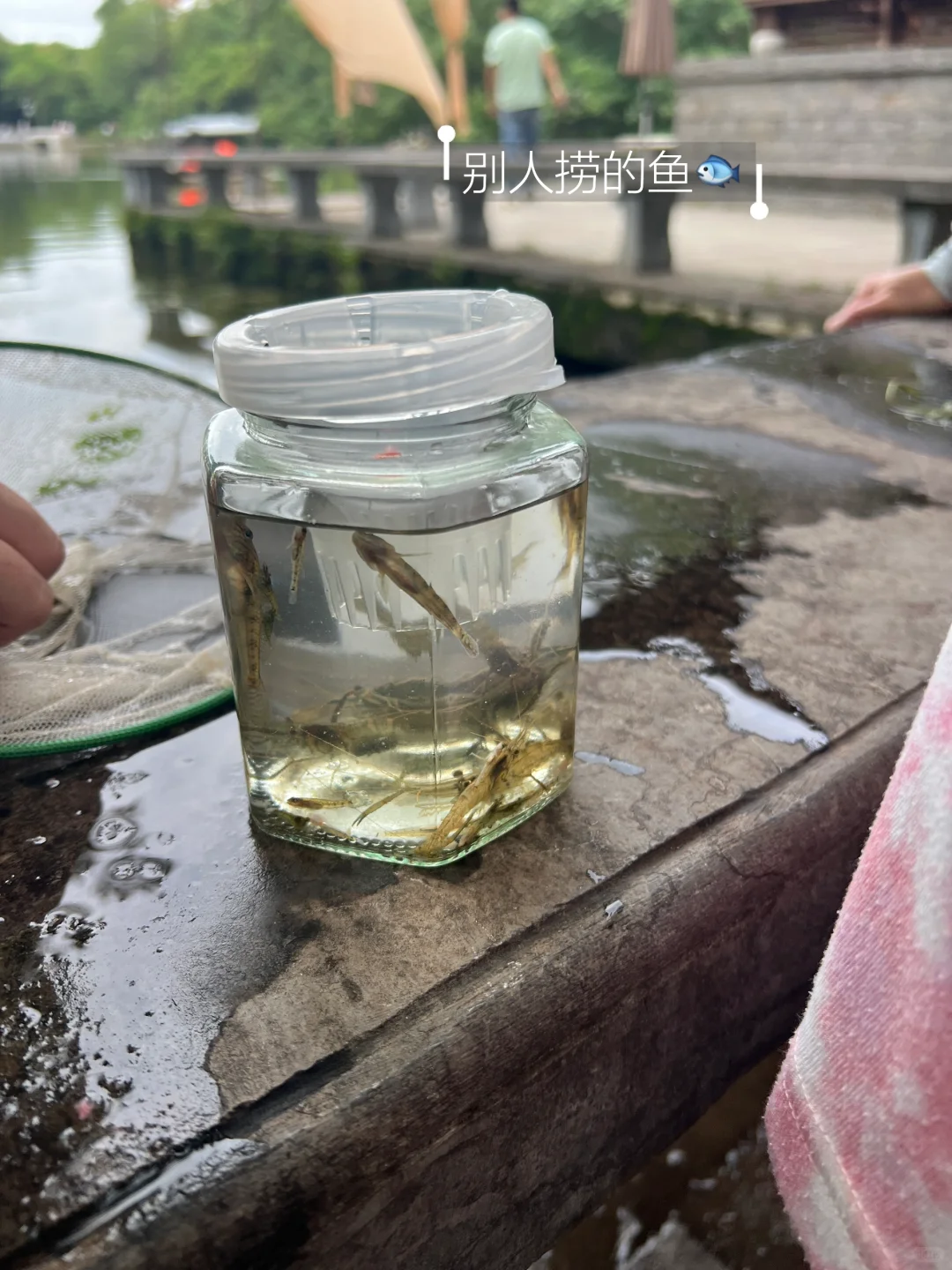 南京周边溯溪|小瀑布来咯，新路线来咯‼️