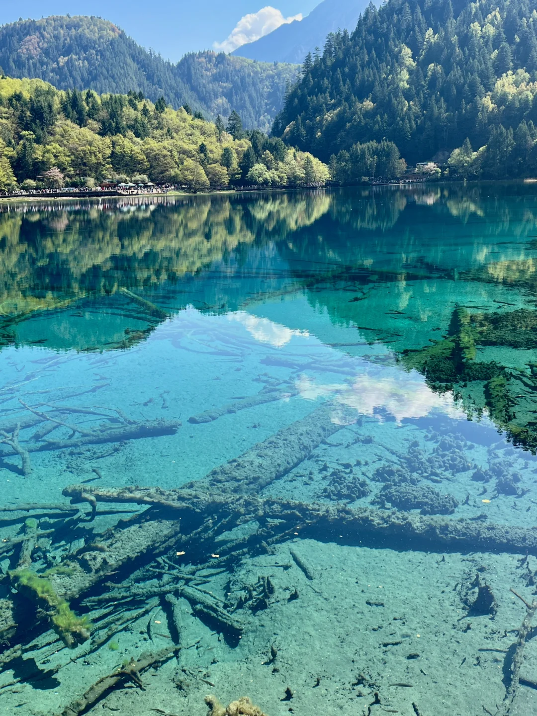 无锡-九寨沟2天攻略｜5.3体验感很好