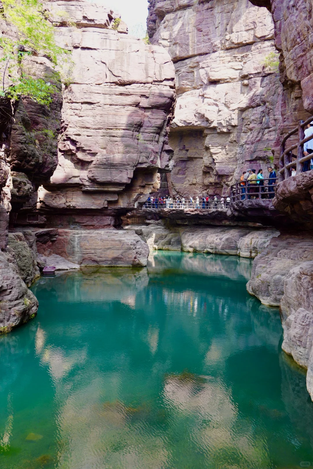 暑假带娃第一次去河南，这么玩才地道