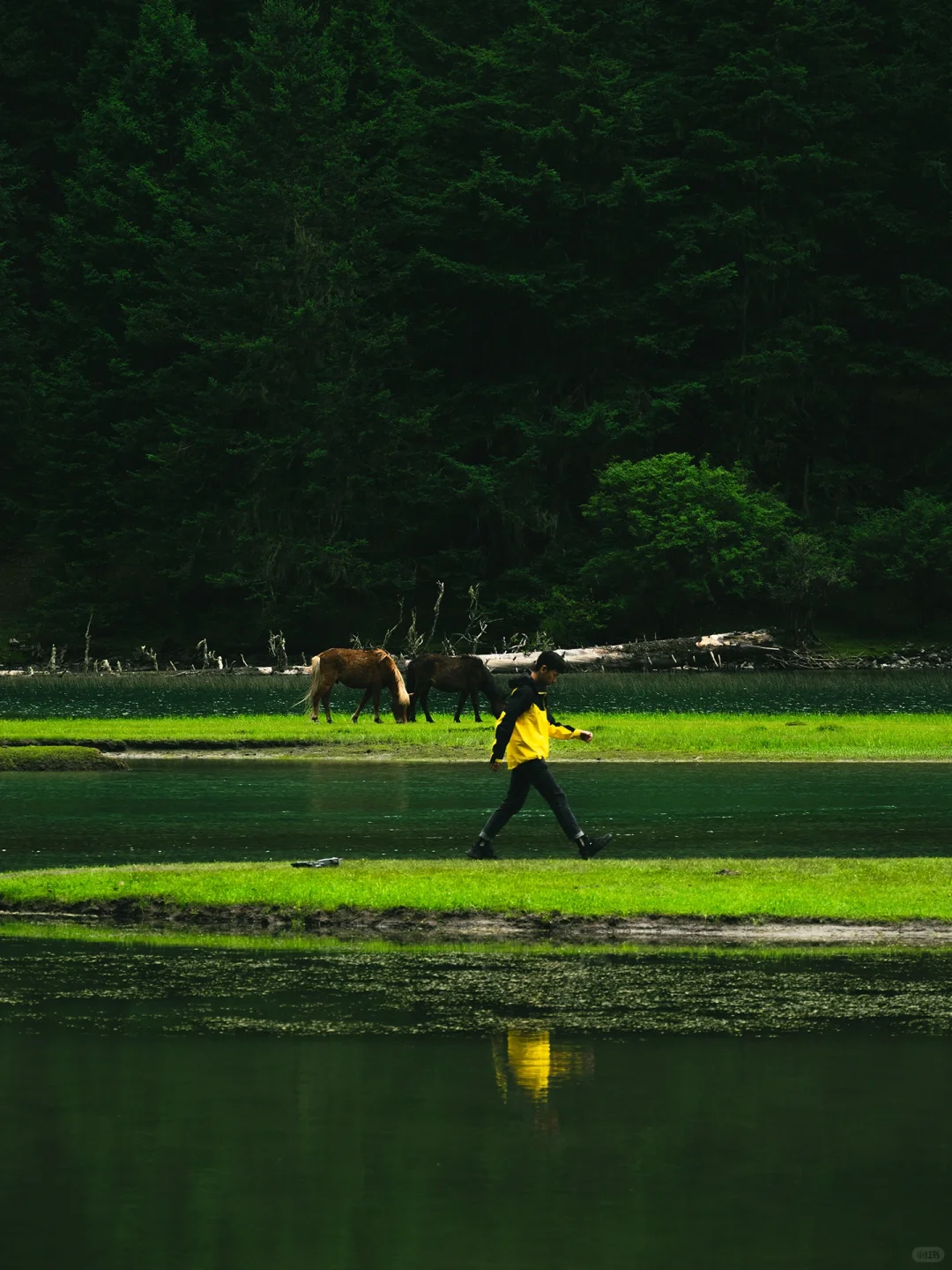 以为九寨沟够美了“直到来了这个小众🌙秘境”