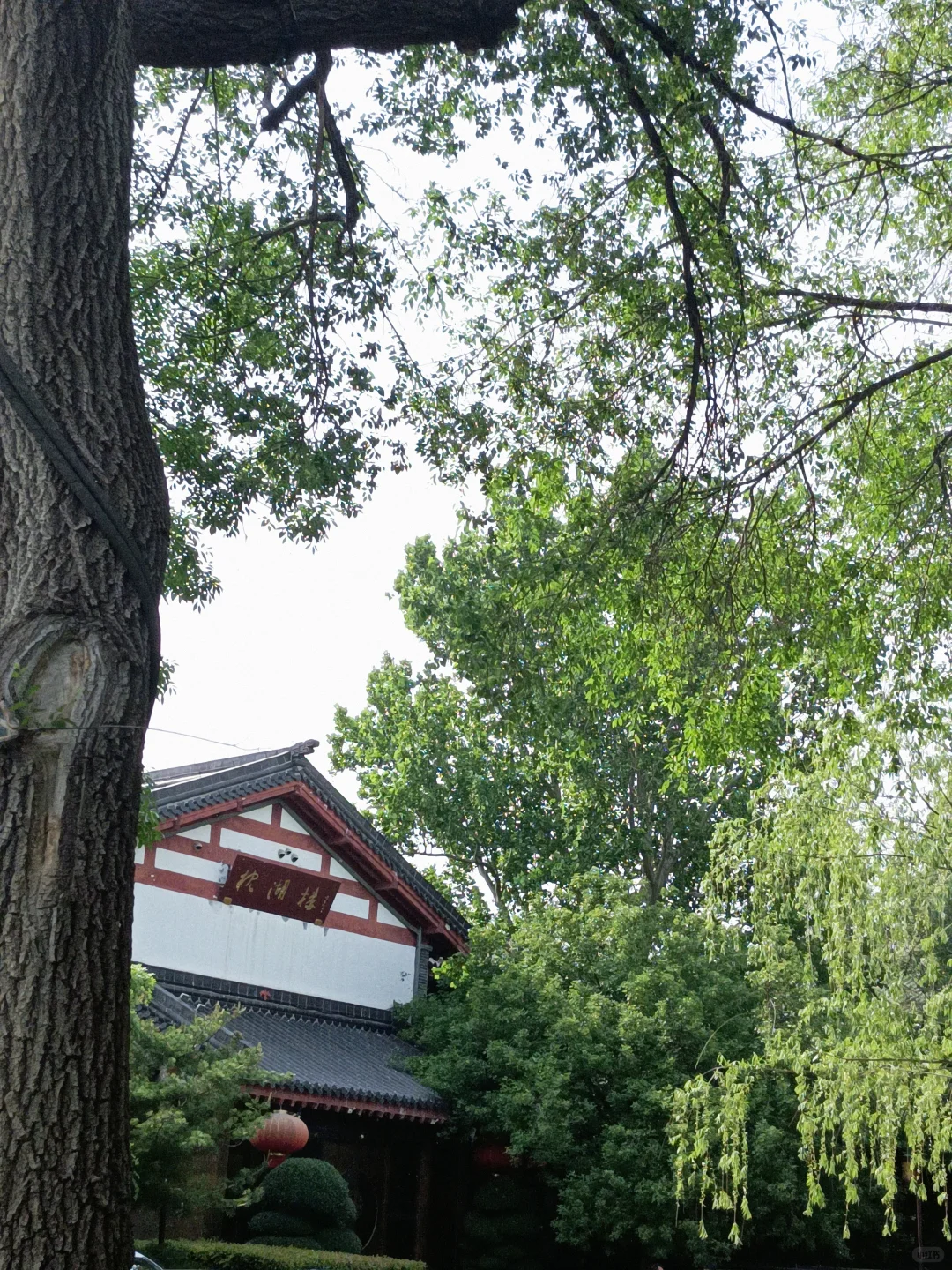 小城济南的1️⃣日游