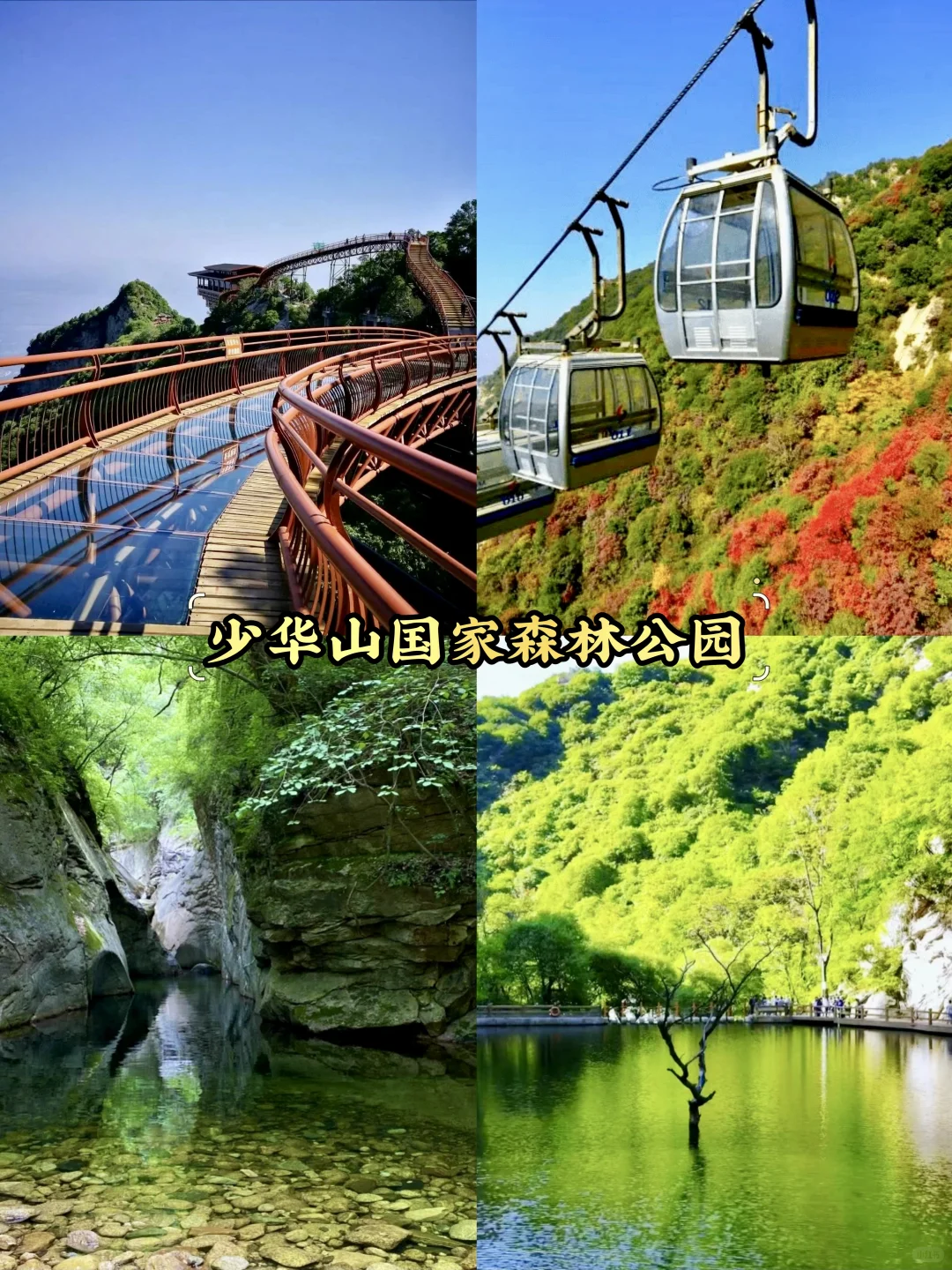 渭南必去9大景点‼️渭南旅游必看❗️