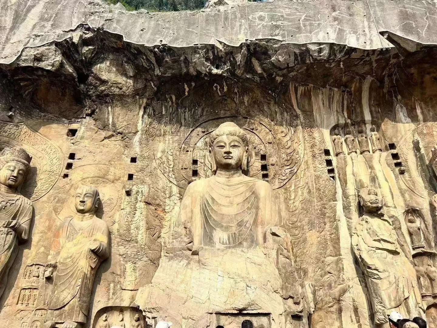 洛阳三天两夜游❗️别白跑本地人带你这么玩