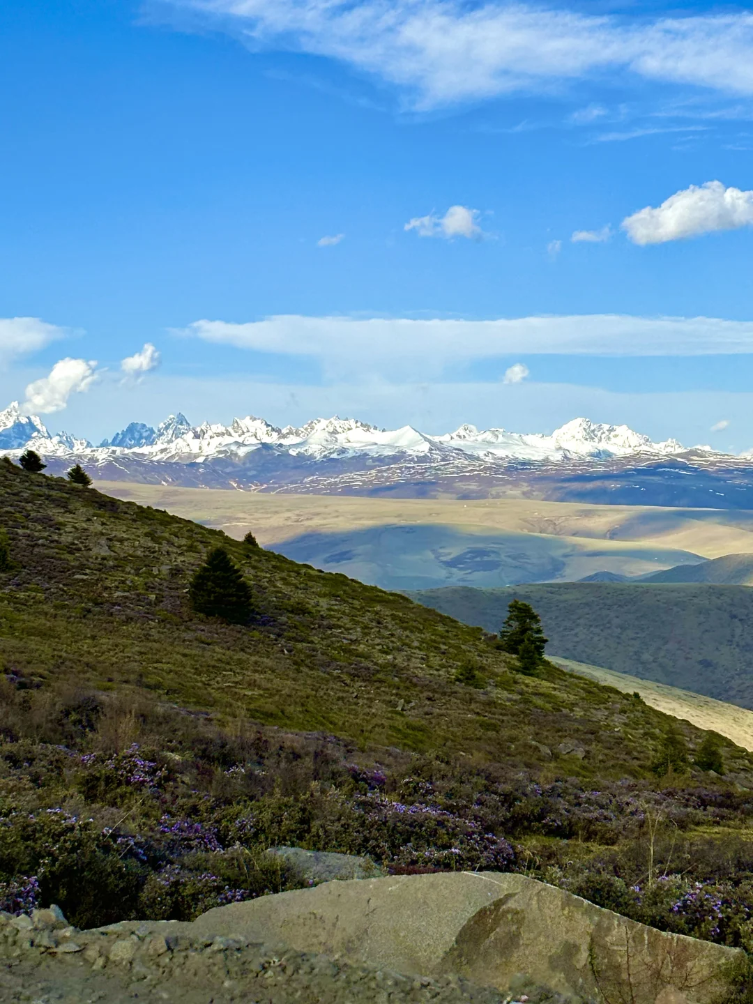 川西的夏天根本不用滤镜……美哭了😭！！附攻略