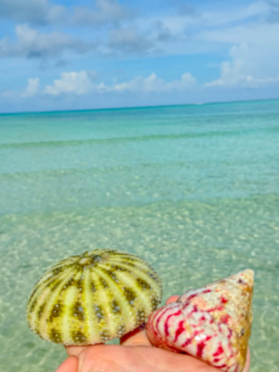 比马尔代夫还美的西沙群岛一定要去！