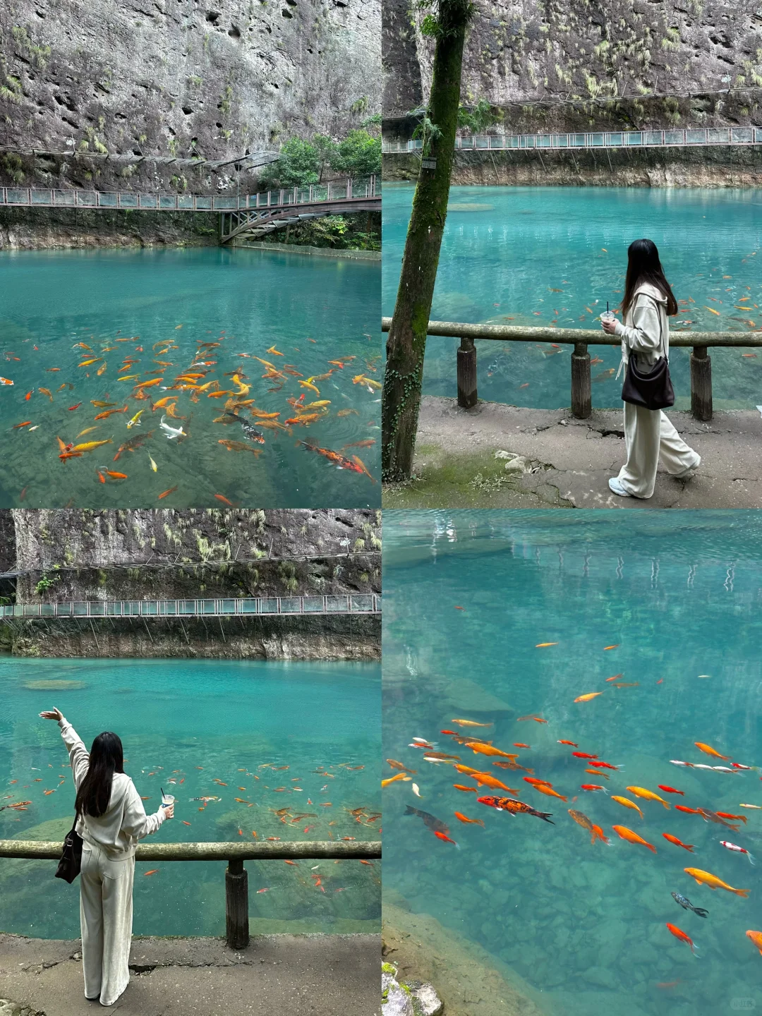 分享在温州不花钱的快乐！！1️⃣8️⃣个小众景点